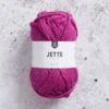Järbo Jette